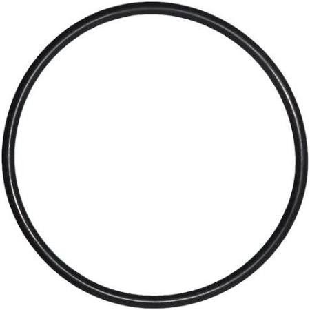 Pentair Triton o-ring voor zandfilter deksel