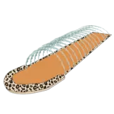Waterglijbaan Enkel Beige Panterprint