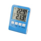Summer fun thermometer digitaal