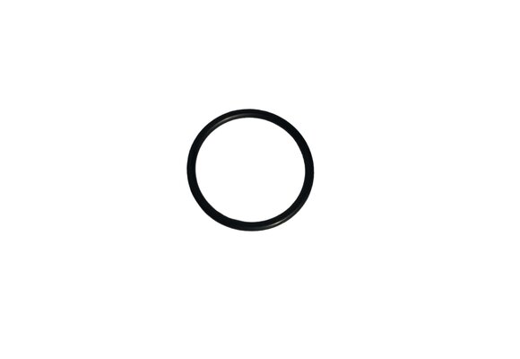 Blue lagoon o-ring voor kwartsglas