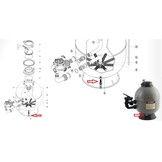 Hayward en Kripsol filter - Aftapplug / Drain clamp plug