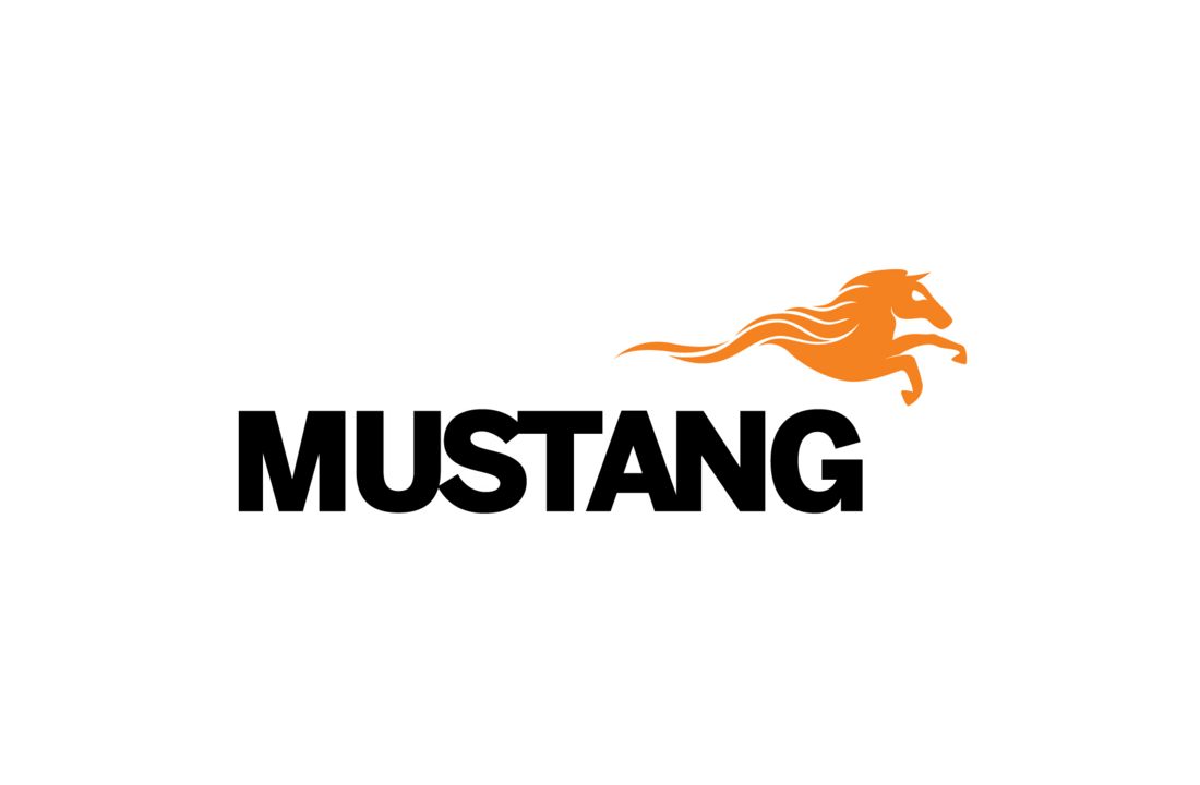 Mustang Chicken Roaster