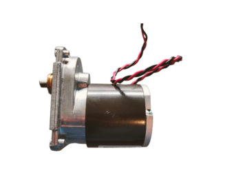 Dolphin Drive Motor