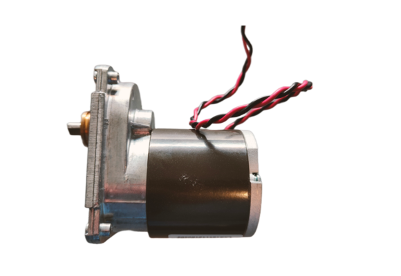 Dolphin Drive Motor