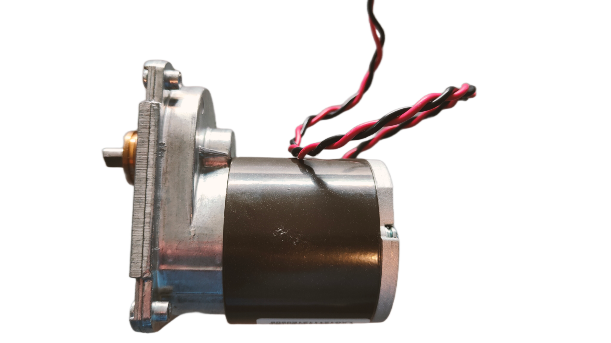 Dolphin Drive Motor