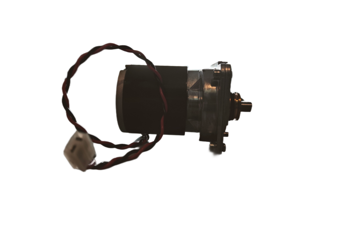Dolphin Drive Motor