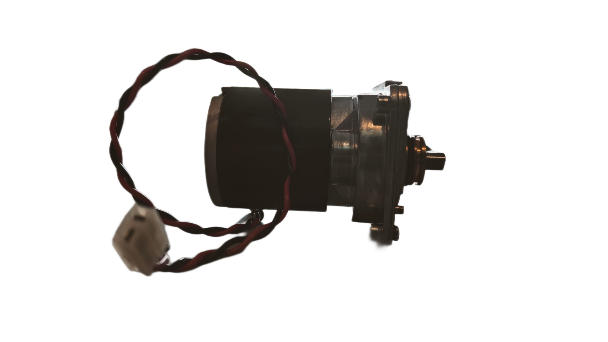 Dolphin Drive Motor