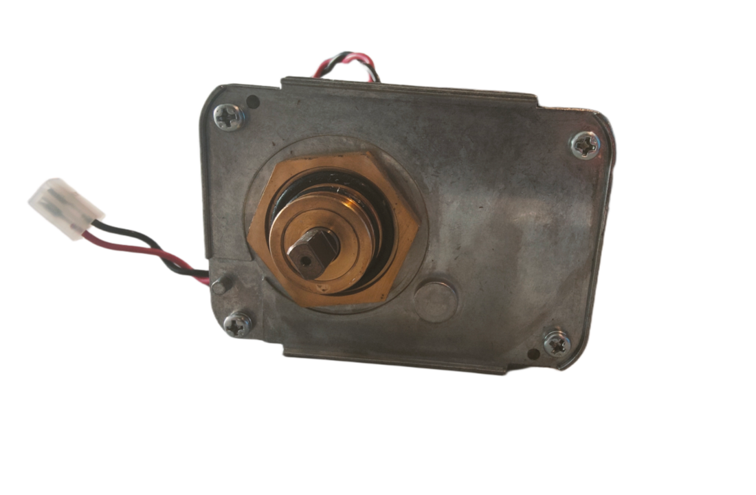 Dolphin Drive Motor