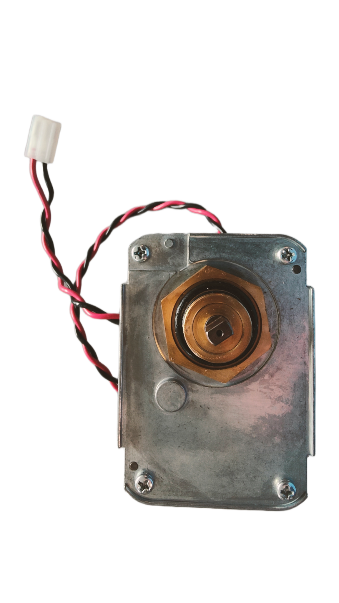 Dolphin Drive Motor