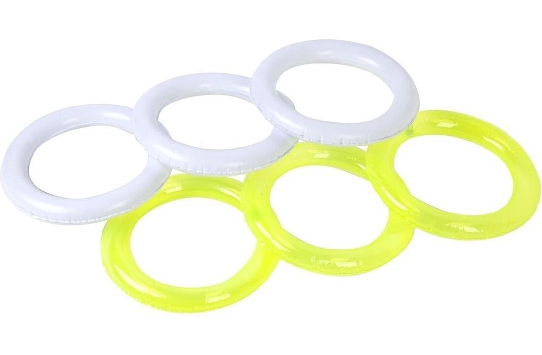 Sunnylife Opblaasbare Ring Gooien Cactus
