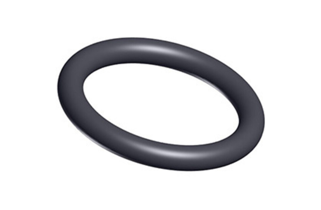 Hayward o-ring voor klep schotel