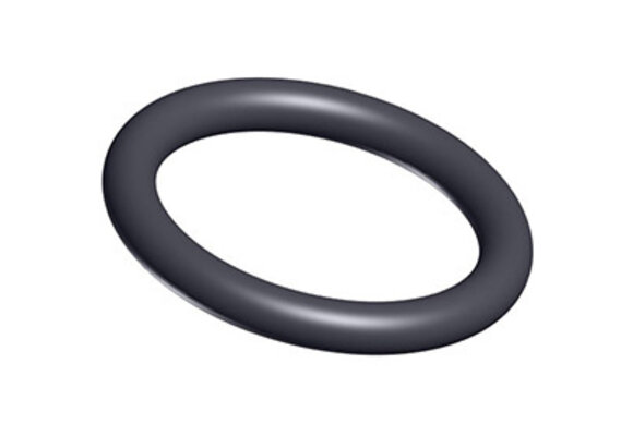 Hayward o-ring voor klep binnenwerk