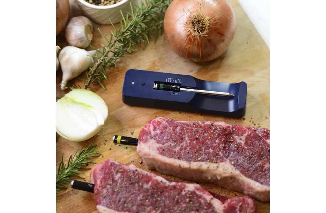 MeatStick Mini X Set - Draadloze vlees thermometer met lader