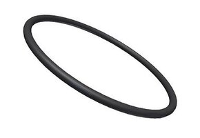 Starline Ionisator O-ring