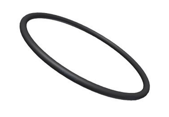 Starline Ionisator O-ring
