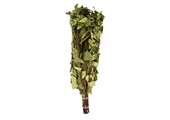 Emendo Berken - Eucalyptus takken