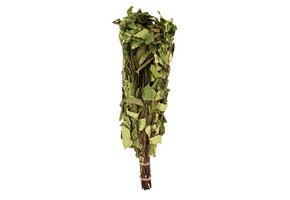 Emendo Berken - Eucalyptus takken