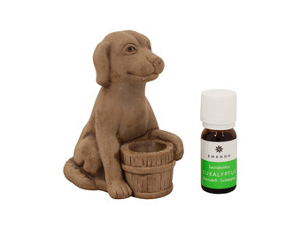 Emendo Sauna Hond met etherische olie Eucalyptus