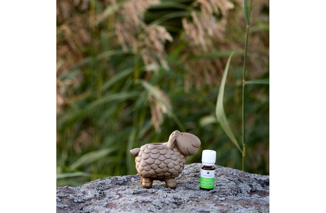 Emendo Sauna schaap met etherische olie Eucalyptus