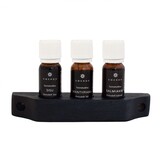 Emendo set Sauna geuren 3 x 10 ml inclusief houten rekje