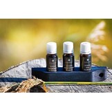 Emendo set Sauna geuren 3 x 10 ml inclusief houten rekje