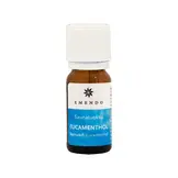 Emendo Sauna geur Eucamenthol 10 ml
