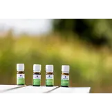 Emendo set Sauna geuren 4x10ml - Etherische olie