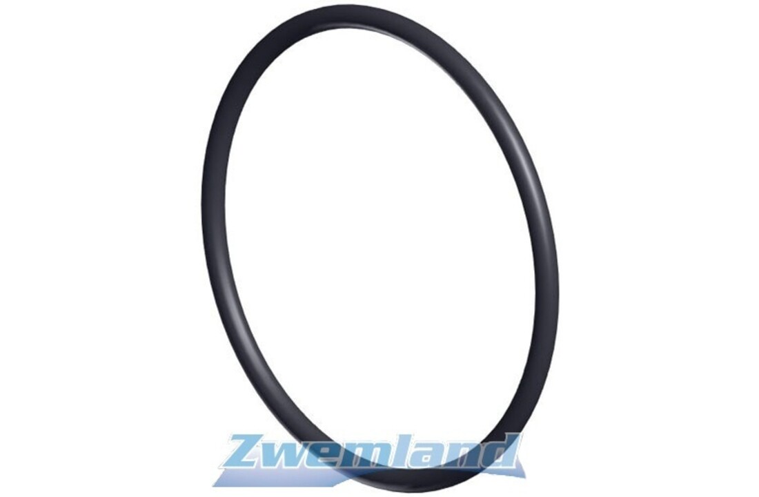 Hayward RS II / Super Pump Voorfilter O-Ring SPX3000S
