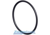 Hayward RS II / Super Pump Voorfilter O-Ring SPX3000S