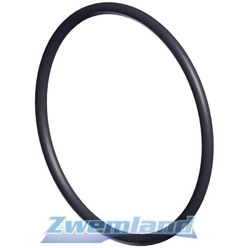 Hayward RS II / Super Pump Voorfilter O-Ring SPX3000S
