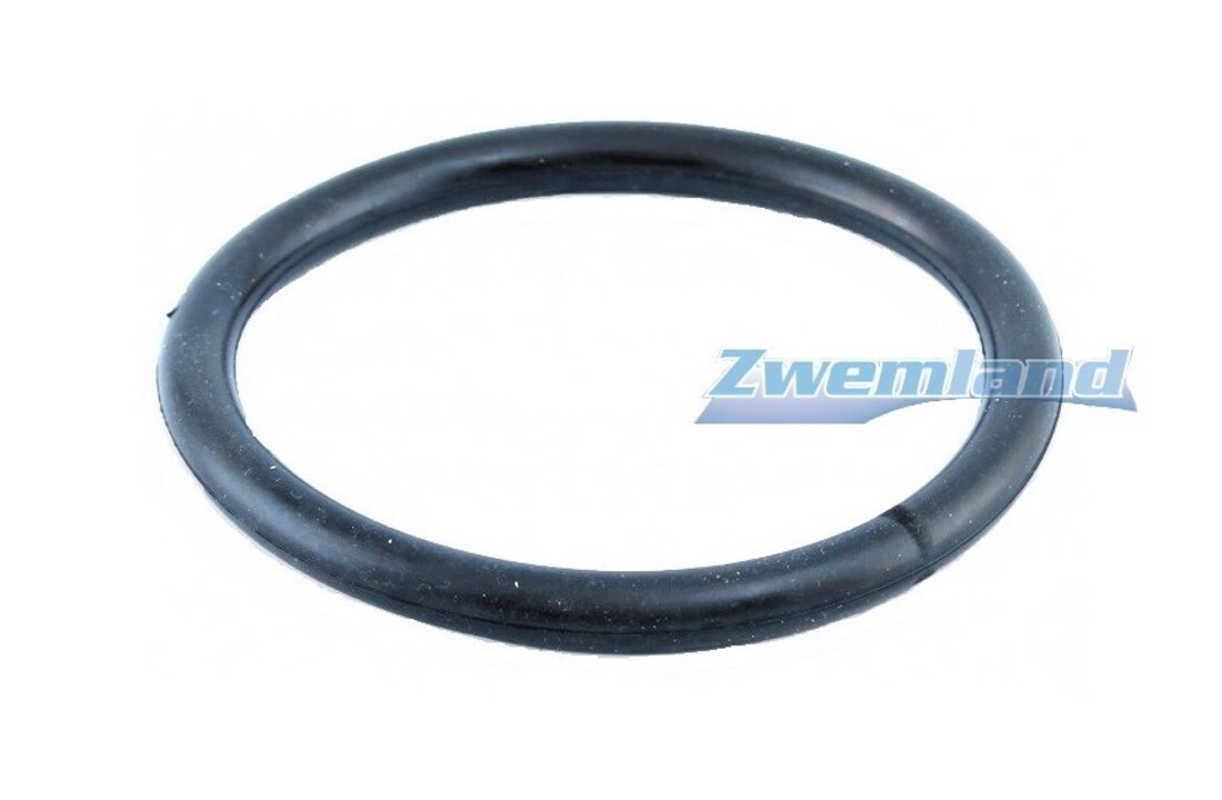 Hayward zwembadlamp O-ring