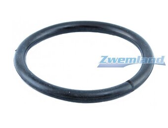 Hayward zwembadlamp O-ring