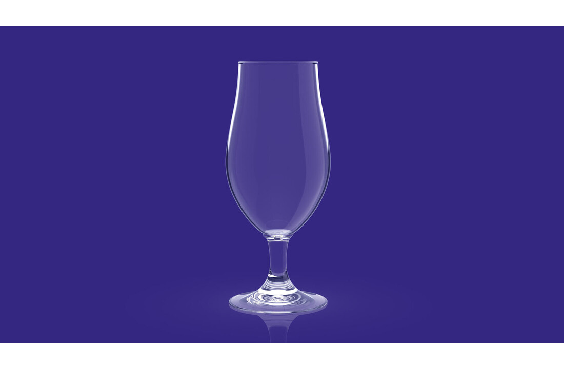 HappyGlass Mister Gustav Bierglas -Set van 2 Kunststof Glazen 500ml