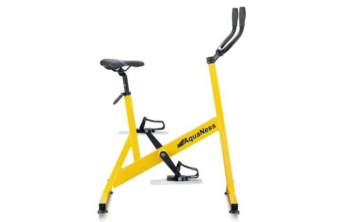Aquaness Aquabike V1