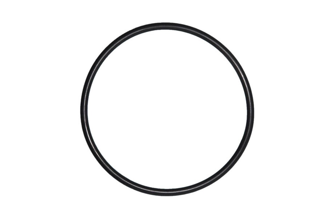 O-ring 170mm - 7mm dik