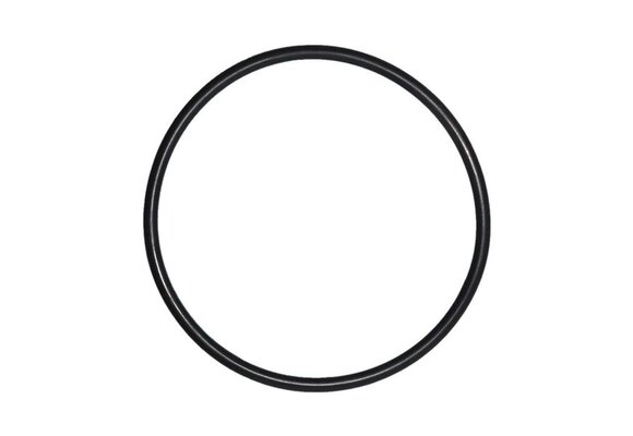 O-ring 170mm - 7mm dik