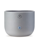 Serene Pod Wax Warmer - Sprout Grey