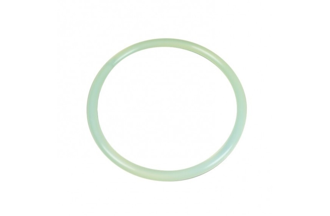 Astral Pool Sidemount Filter Deksel O-ring