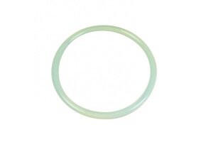Astral Pool Sidemount Filter Deksel O-ring