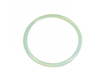 Astral Pool Sidemount Filter Deksel O-ring