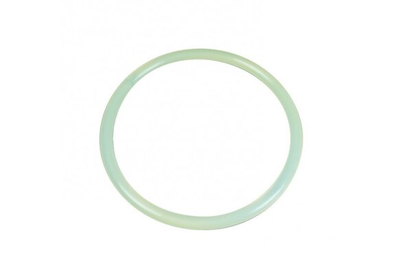 Astral Pool Sidemount Filter Deksel O-ring