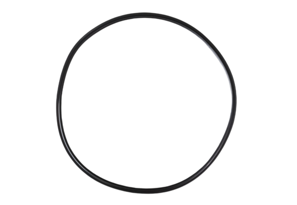 Emaux o-ring filter propure / pro S21 / S25 / S28