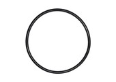 O-ring voor mega pool filter