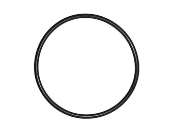 O-ring voor mega pool filter