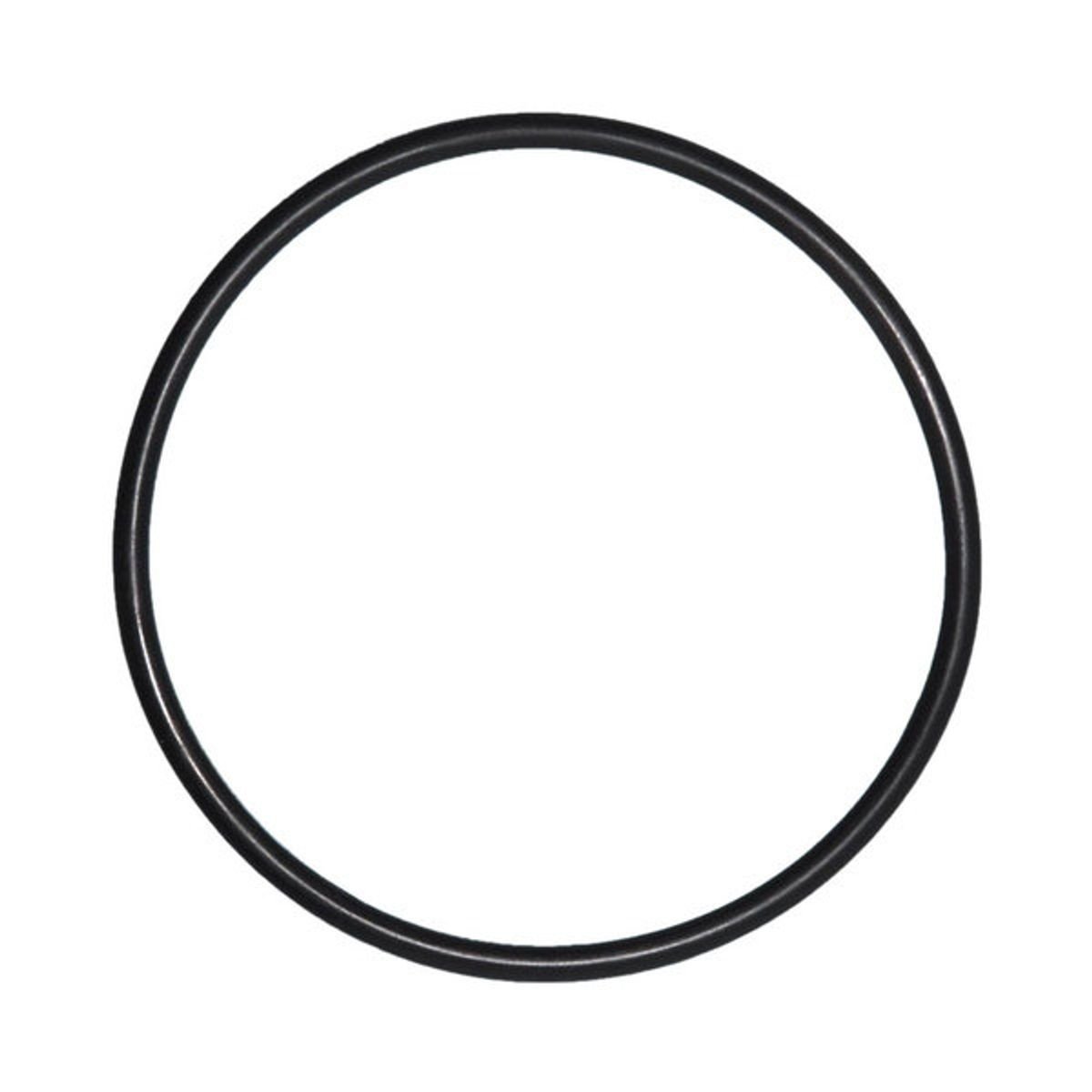 O-ring voor mega pool filter