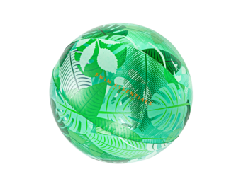 Strandbal Tropical