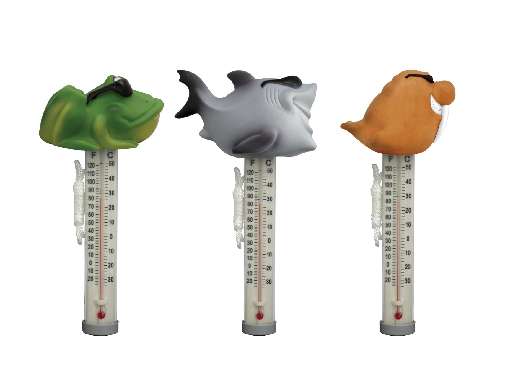 Dieren Thermometer