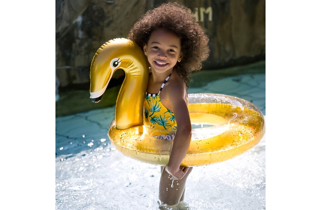 Zwemband Gouden Zwaan 70  cm