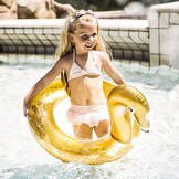 Zwemband Gouden Zwaan 70  cm