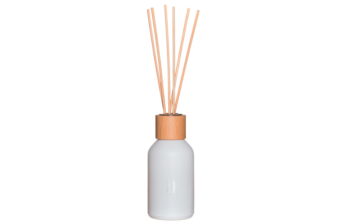 Rento Geurstokjes Berken 100 ml